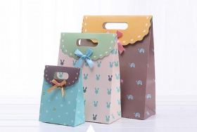 Paper Gift Bag